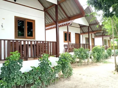 Habitación Doble Estándar con Ventilador — V-View Beach Resort
